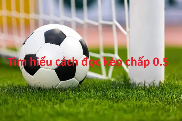 Tìm hiểu cách đọc kèo chấp 0.5